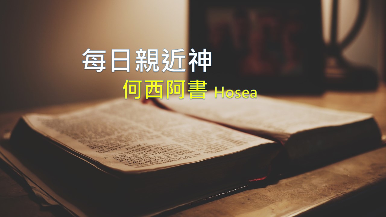 You are currently viewing 每日親近神 2026/06/18 何西阿書 第1天